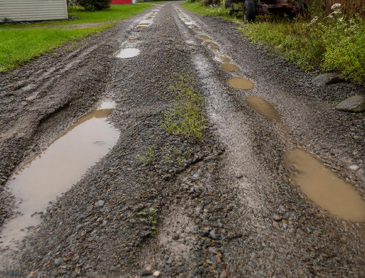 Placeholder before photo: Rural driveway — ruts and standing water